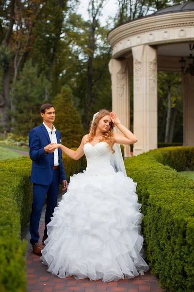 Recém-casados em um passeio no campo — Fotografia de Stock