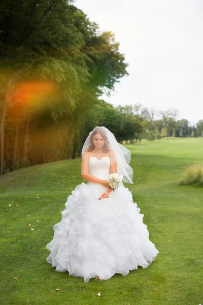 Sposa elegante in abito bianco — Foto Stock