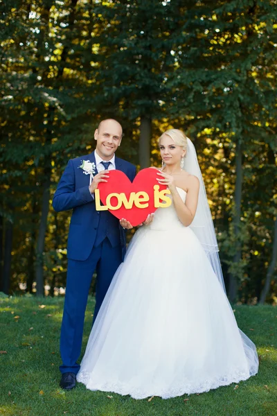 Gli sposi stanno tenendo un cuore rosso — Foto Stock