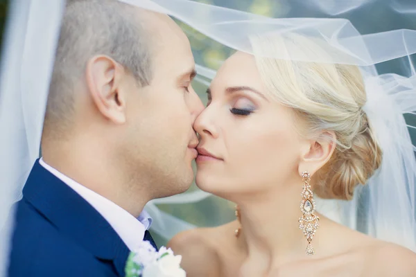 The bride kisses the groom gently — Stockfoto