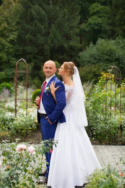 Bruden brudgummen försiktigt omfamnade — Stockfoto