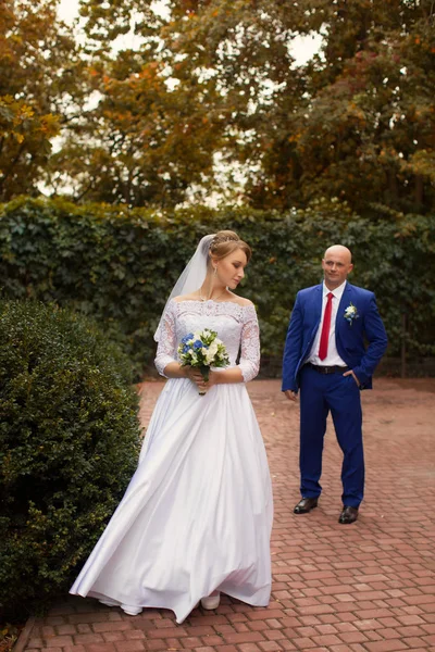 Wedding photography newlyweds on a walk — Stock Photo, Image