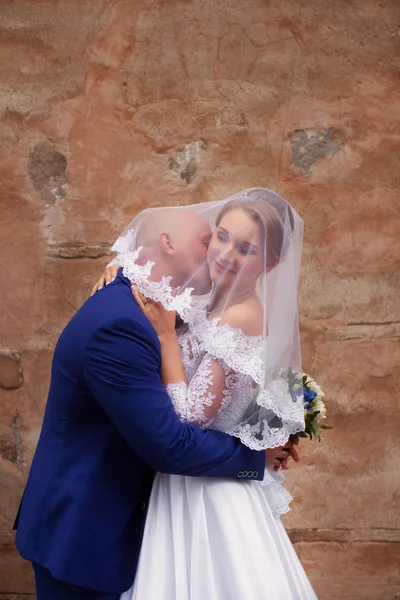 Lo sposo bacia la sposa indossando un velo — Foto Stock