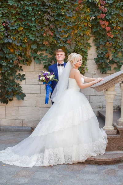 Recém-casados elegantes posando para um passeio na foto — Fotografia de Stock