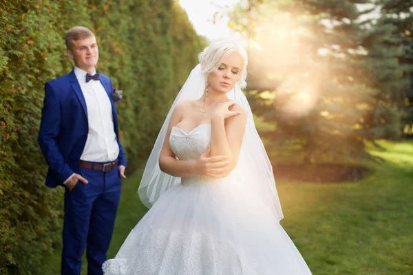 Sposo teneramente guarda la sua sposa nel parco per una passeggiata — Foto Stock