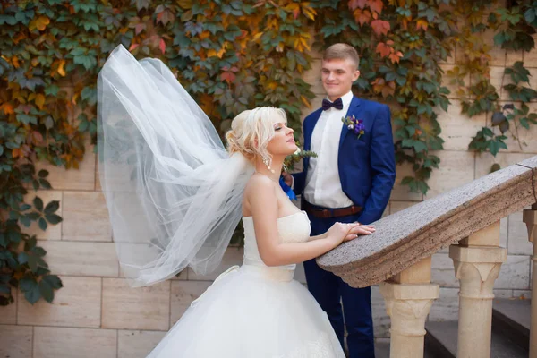 Eleganta nygifta poserar för en promenad i fotot — Stockfoto