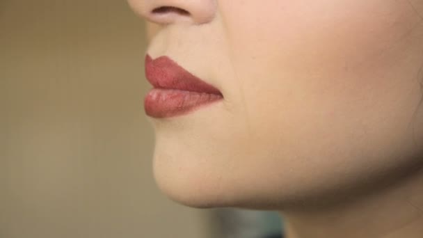 Lip makeup närbild. Full hd-video — Stockvideo