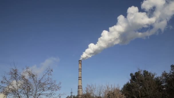 Humo de chimeneas de fábrica. Vídeo completo hd — Vídeo de stock