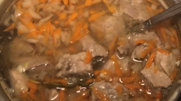 Ανακατεύοντας κουτάλα ζωμό με meat.close-up — Αρχείο Βίντεο