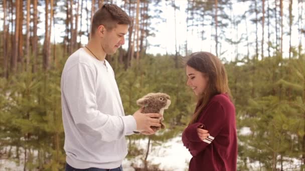幸福的夫妇在冬季森林。完整的高清视频 — 图库视频影像