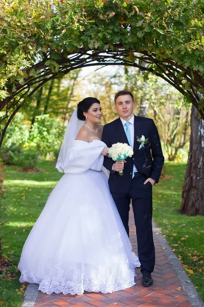 La sposa ha abbracciato teneramente lo sposo — Foto Stock