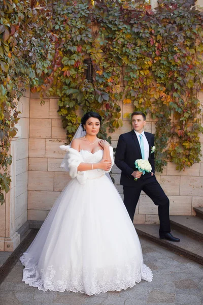 Stylish newlyweds posing on photo shoot — Stock Photo, Image