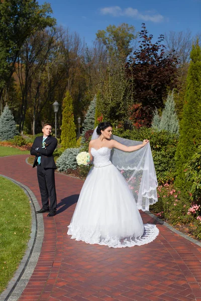 Os recém-casados estão posando na foto no parque de verão — Fotografia de Stock
