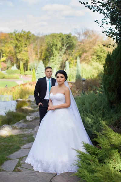 Brudgummen omfamnade ömt bruden i parken sommaren — Stockfoto