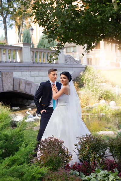 Lo sposo teneramente ha abbracciato la sposa nel parco estivo — Foto Stock