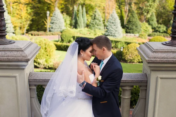 Lo sposo teneramente ha abbracciato la sposa nel parco estivo — Foto Stock
