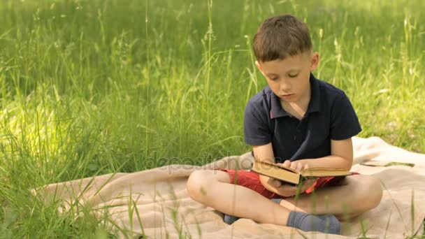 Хлопчик читає книжку в парку на лузі — стокове відео