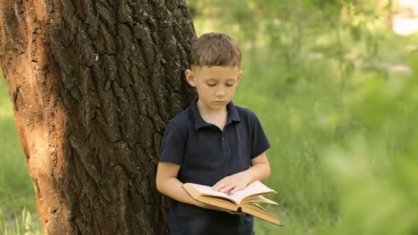 Un niño está leyendo un libro de pie cerca de un árbol — Vídeo de stock