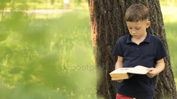 Un ragazzo sta leggendo un libro vicino a un albero — Video Stock