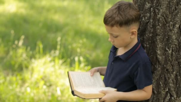 En pojke läser en bok som står nära ett träd — Stockvideo