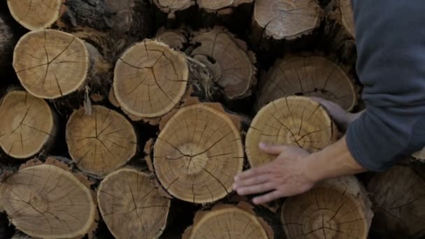 Um homem lava as mãos no fundo de troncos cortados — Vídeo de Stock