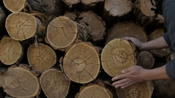 Um homem lava as mãos no fundo de troncos cortados — Vídeo de Stock