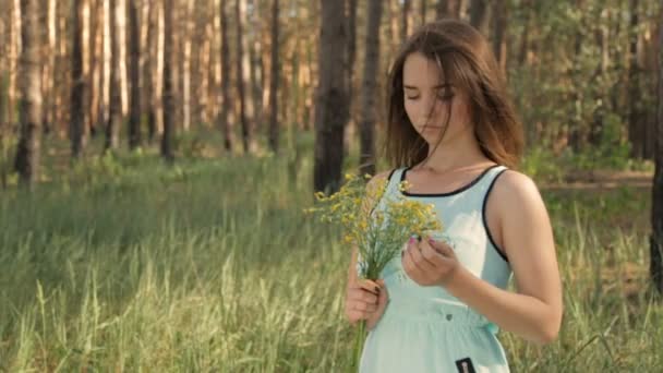 Chica con un ramo de flores silvestres en el bosque — Vídeos de Stock