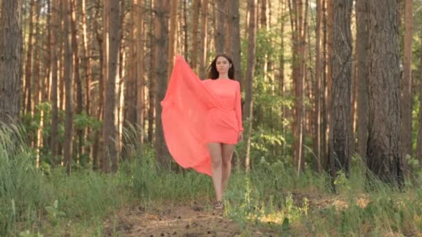 Chica en vestido de noche en color rojo en el bosque — Vídeo de stock