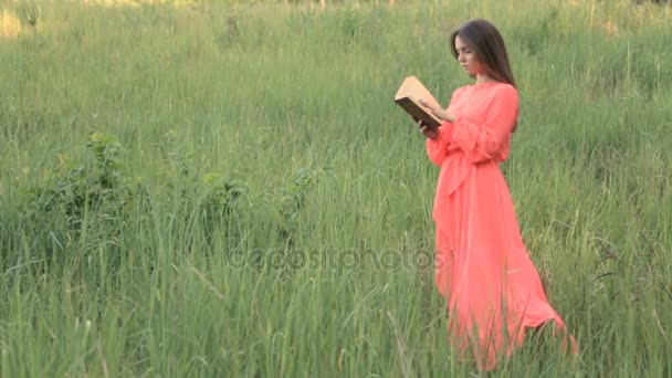 Een meisje in een avondjurk in een weide die lezen van een boek — Stockvideo