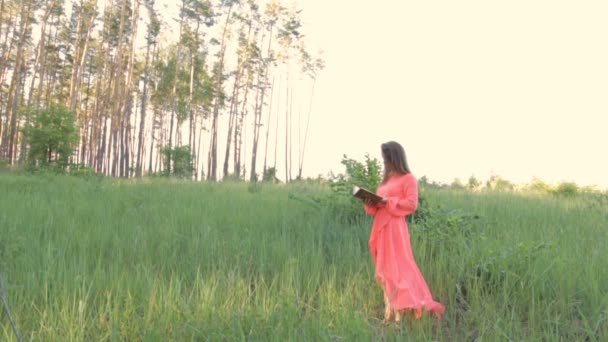 Una ragazza in abito da sera in un prato che legge un libro — Video Stock