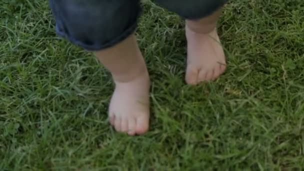 El niño camina descalzo sobre la hierba verde — Vídeo de stock