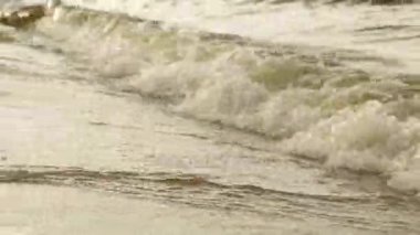 kumlu bir plaj dalgalar