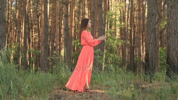 Дівчина в вечірній сукні в червоному кольорі в лісі — стокове відео