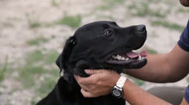 Adam köpek sarıldı