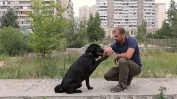 Um homem está a treinar o seu cão — Vídeo de Stock