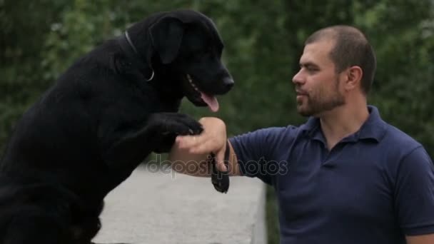 Un hombre está entrenando a su perro — Vídeo de stock