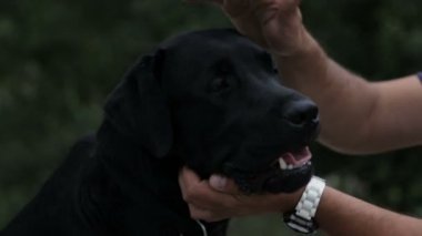 Adam köpek sarıldı