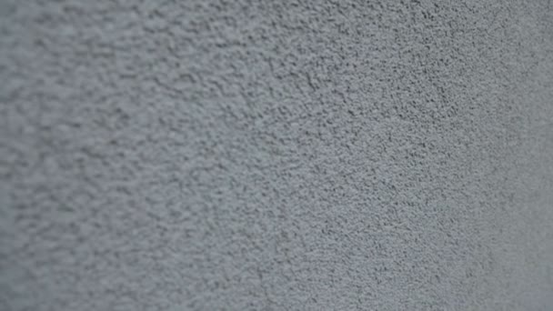 Die Wand ist mit grauem Putz gestrichen — Stockvideo