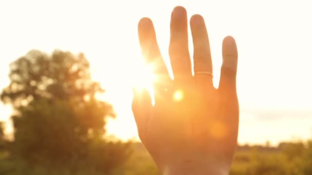 Блеск вечернего солнца сквозь пальцы — стоковое видео