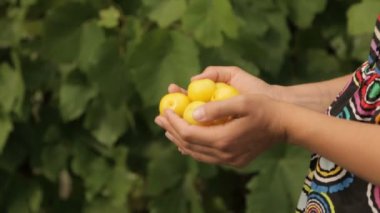 Çocuk kadının el sarılmak. Kadın ellerinde sarı çilek