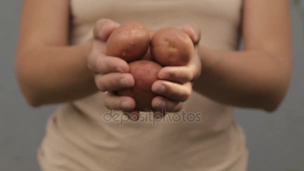 Batatas cruas nas mãos de uma mulher — Vídeo de Stock