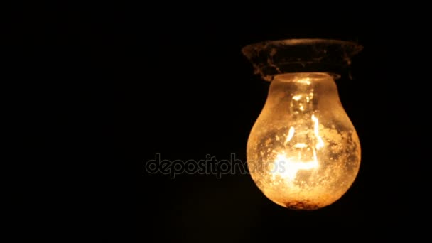 Електрична лампочка на чорному фоні — стокове відео