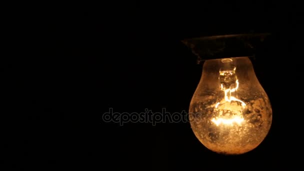 Electric light bulb on a black background — Stock Video