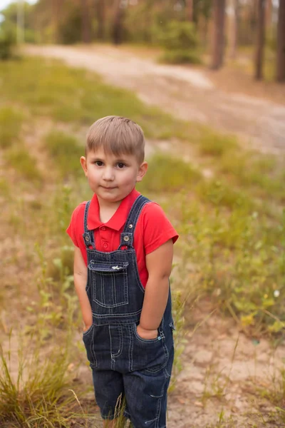 En söt pojke i en sommar park — Stockfoto