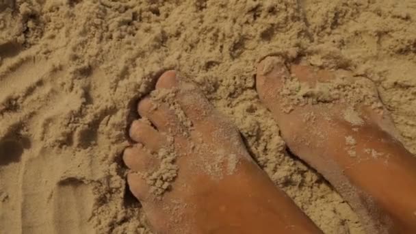 Pies femeninos en la arena amarilla del mar — Vídeo de stock