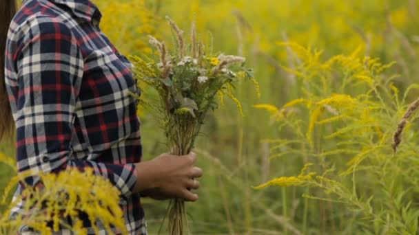 Mains féminines avec un bouquet de fleurs sauvages — Video