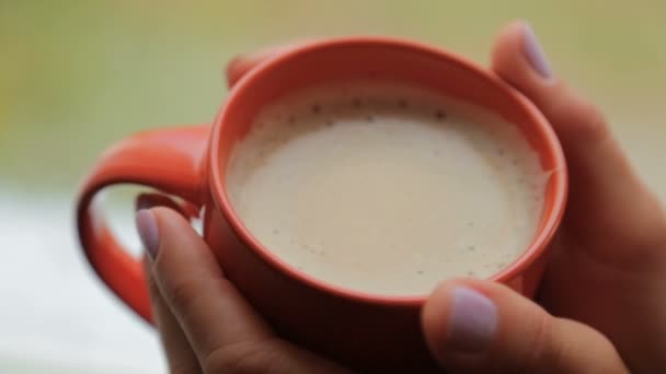 Mugg cappuccino i kvinnliga händer nära fönstret — Stockvideo