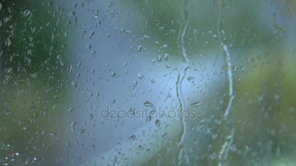 Gouttes de pluie sur le verre — Video