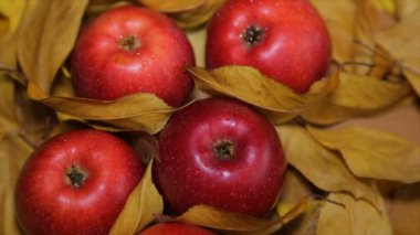 Sarı yapraklar arasında kırmızı elmalar