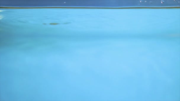 青色の背景に透明な水を花します — ストック動画